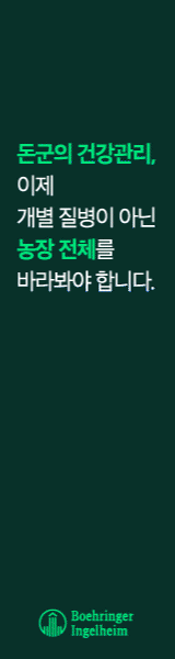 배너