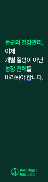 배너