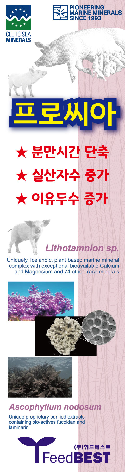 배너
