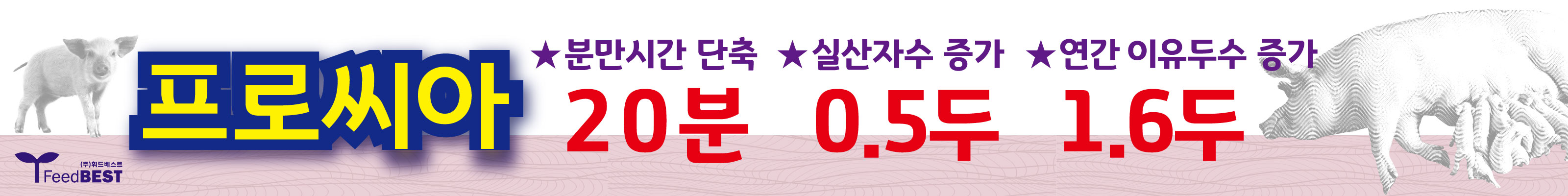 배너