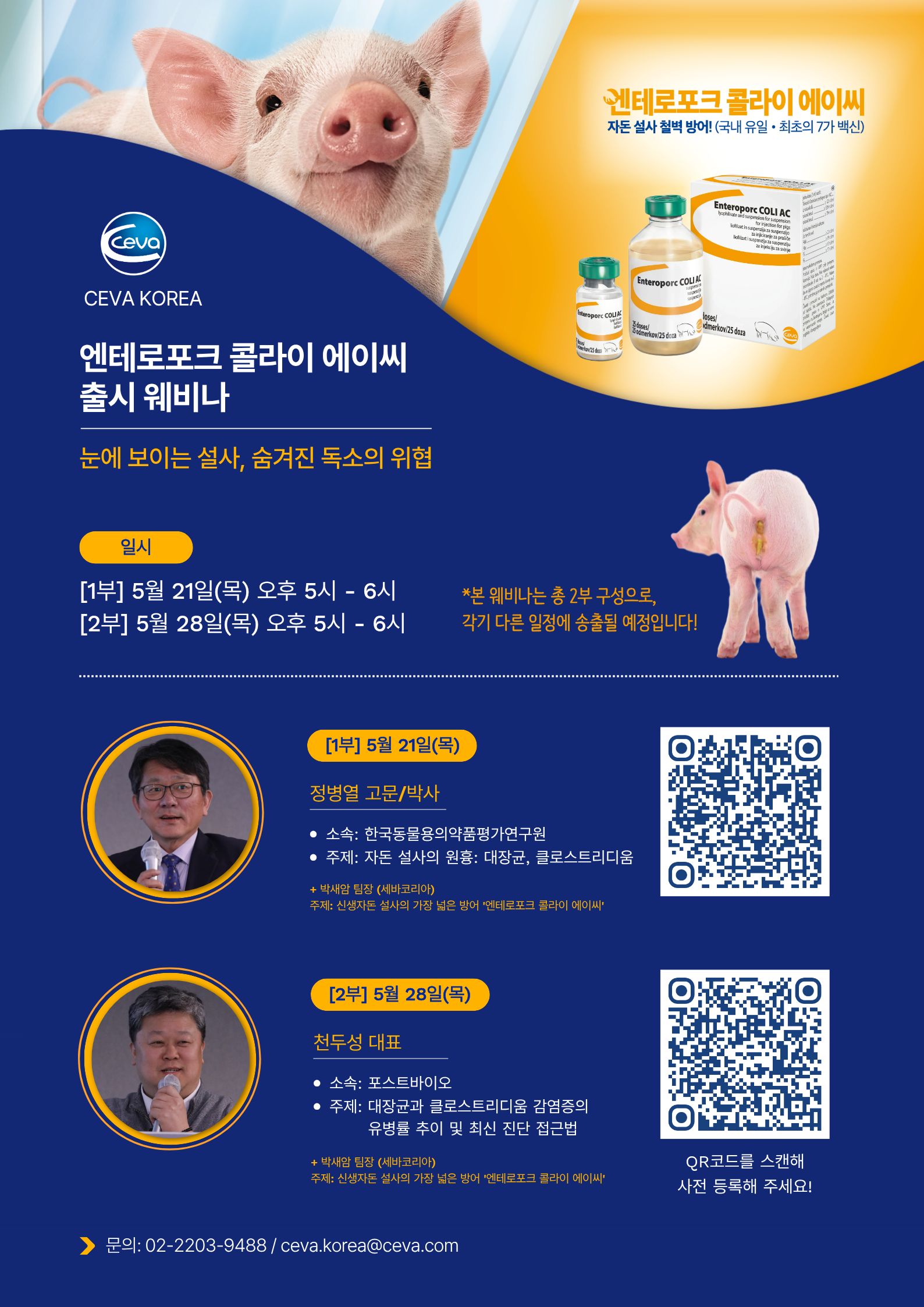 배너