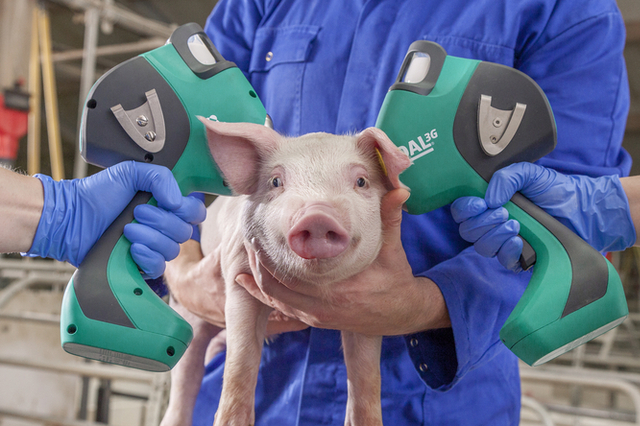 [엠에스디] 최신 무침 피내주사기 '아이달3G'