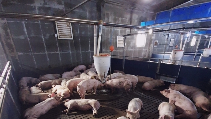 [초록] 축산농가에서 사용 중인 악취저감제의 유형 분석 및 환경개선제의 돈분뇨 in vitro 발효 평가