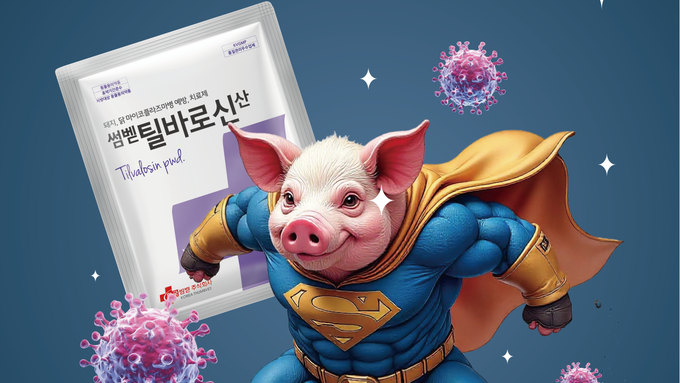 [썸벧] 마이코플라즈마와 PRRS 감염의 새로운 해결사, '썸벧 틸바로신산'