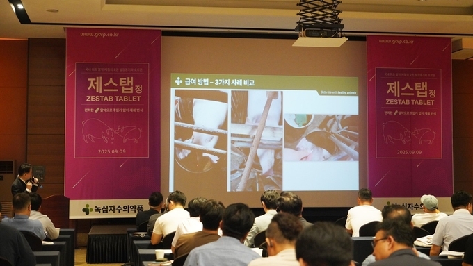 "편리한 알약으로 주입기 없이 계획 번식하세요!"