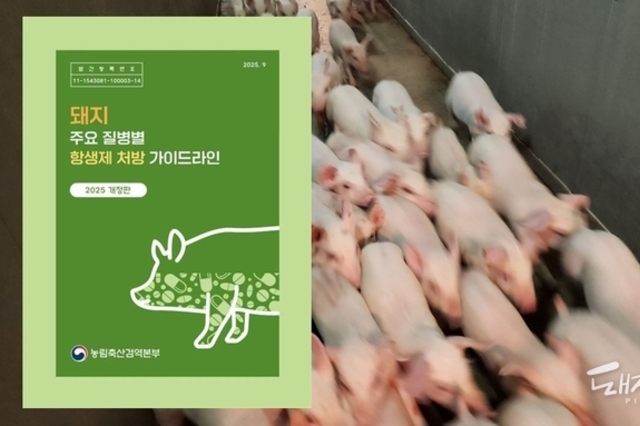 현장 상황과 항생제 효과, 내성 위험 등 균형있게 고려했다