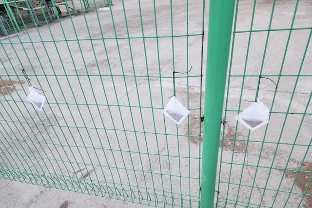 경기 북부 ASF, 농장 방역만으로는 막을 수 없다