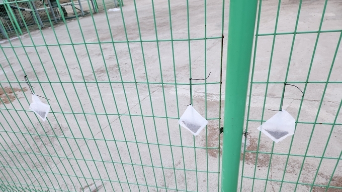 경기 북부 ASF, 농장 방역만으로는 막을 수 없다