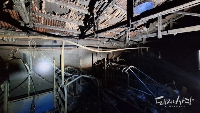 제주 흑돼지 농장 화재로 4천6백여만원 재산피해