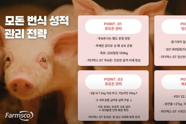 [돼지이야기] 'PSY 25두' 충분히 가능하다