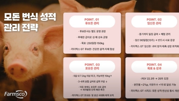 [돼지이야기] 'PSY 25두' 충분히 가능하다
