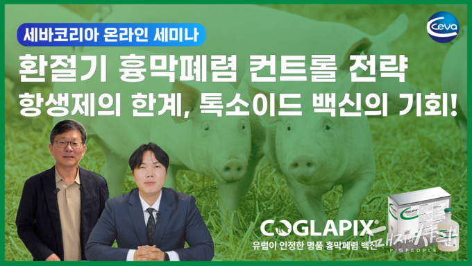 조용하지만 매우 위협적인 '흉막폐렴', 톡소이드 백신으로 예방하자!