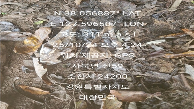 드디어 찾았다...ASF 바이러스 3개월 만에 춘천서 발견