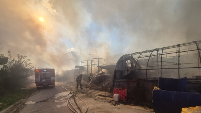 월요일 공주서 화재로 비육돈 1천6백마리 폐사