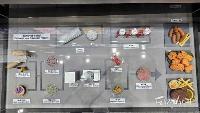 [한 장의 사진] 점점 진화하는 배양육 제조 기술