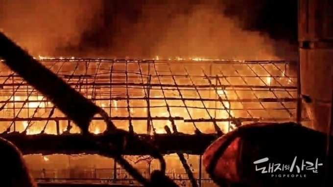 새벽 용인서 원인 모를 불....돈사 4개 동 피해