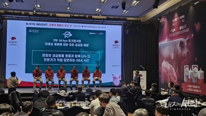 KMAP 수의사들 "유행성 폐렴 음성 후보돈 순치 실패 시 생산성 저하 문제 발생"