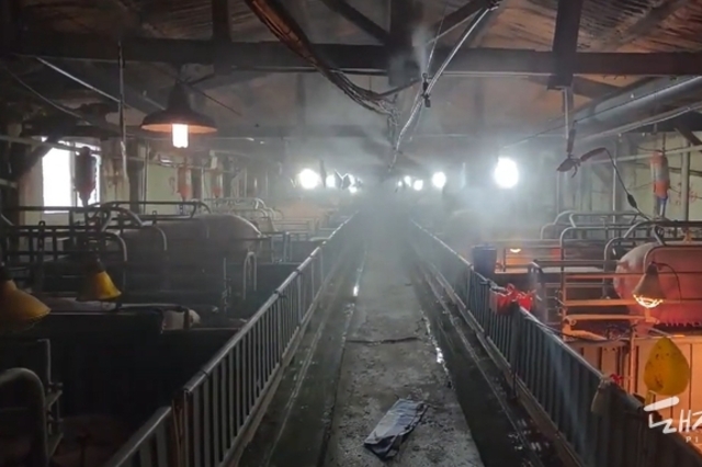 베트남 연구소 '순삭솔루션, ASF 바이러스 1분 내 99.99 사멸 인정'