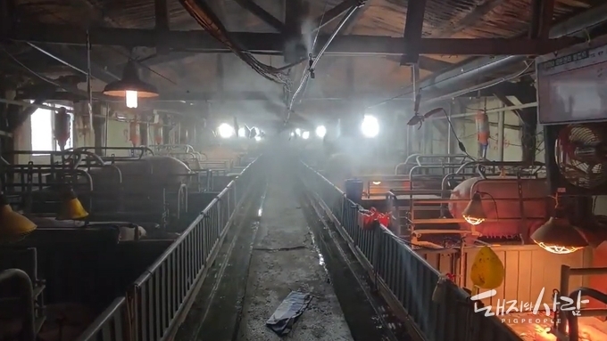 베트남 연구소 '순삭솔루션, ASF 바이러스 1분 내 99.99 사멸 인정'