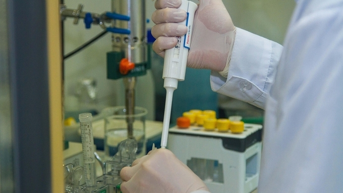 [ASF] 당진에 후보돈 분양한 합천 종돈장 현재까지 '이상없음'