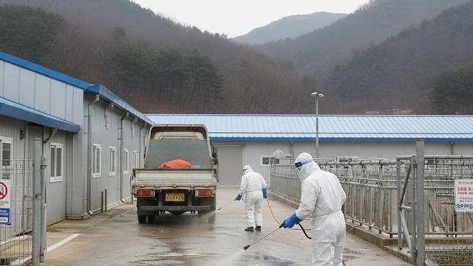 방역 엄중한 상황....충북도, 도내 전역에 'ASF 주의보' 발령