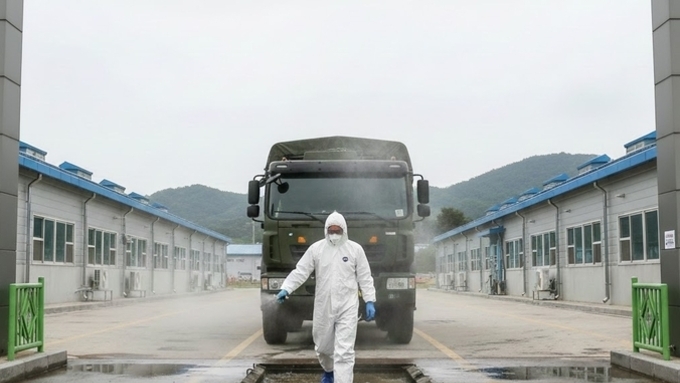 당진 ASF 확산 고비 넘겼나… 추가 확진 '0', 아산 의심신고도 '음성'