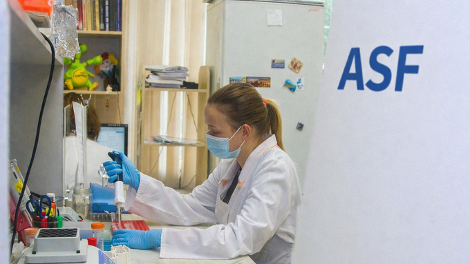 "민간 검사기관에 의뢰된 돼지 시료, ASF 검사 실시한다"