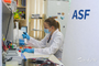"민간 검사기관에 의뢰된 돼지 시료, ASF 검사 실시한다"