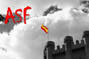 정부, 스페인 ASF 발생지역 돼지고기 수입금지...스페인 돼지고기 수출 1/3 중단