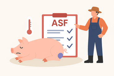 ‘모돈 죽으면 무조건 신고, 이동제한'...논란의 ASF 신고기준, 시행 첫날 전격 수정