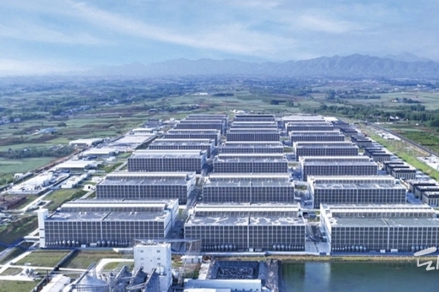 [다비퀸] 중국 심포지엄 참관기 – 글로벌 양돈 시장의 변화와 PRDC 컨트롤의 새로운 방향