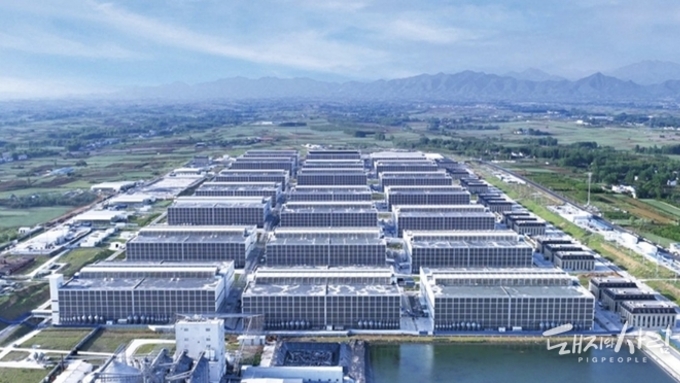 [다비퀸] 중국 심포지엄 참관기 – 글로벌 양돈 시장의 변화와 PRDC 컨트롤의 새로운 방향