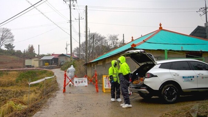 강원 멧돼지보다 당진 농장 먼저 당했다…ASF 상재화가 남긴 경고!