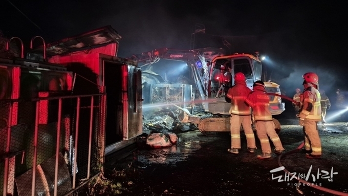 11월 돈사 화재 20건 발생…지난해 딱 두 배