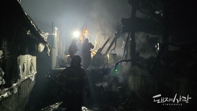 토요일 새벽 논산서 이달 첫 돈사 화재....4억 8천만원 피해