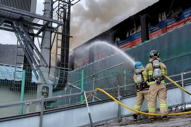 토요일 또 화재....횡성서 돼지 7백여 마리 폐사