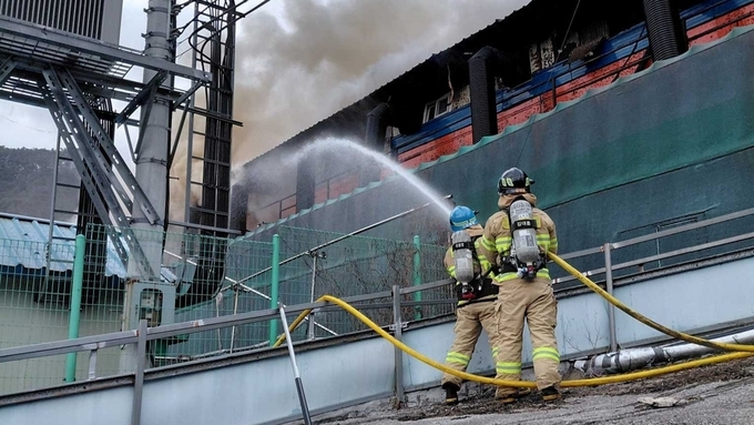 토요일 또 화재....횡성서 돼지 7백여 마리 폐사