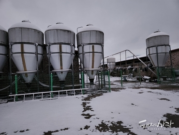 농진청, 그간 실제보다 과다 산정된 돼지 암모니아 배출량 정정 완료!