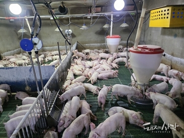 [초록] 육성돈 농장 내 복지 평가에서 동물 기반 매개변수와 환경 기반 매개변수의 상관관계