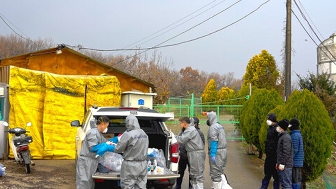 당진 ASF 발생농장, 방역 취약점 16건...살처분 보상금 ‘최저 수준’ 적용 예상