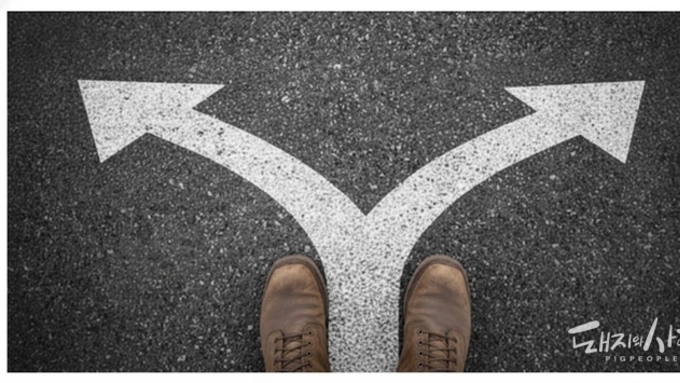 “조건부 수용”… 축산물유통법 제정 갈림길에 선 한돈산업