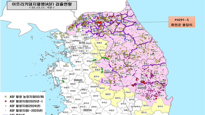 [ASF 실시간 현황판] 야생멧돼지 11일 5건(화천) 발생...12월 누적 5건
