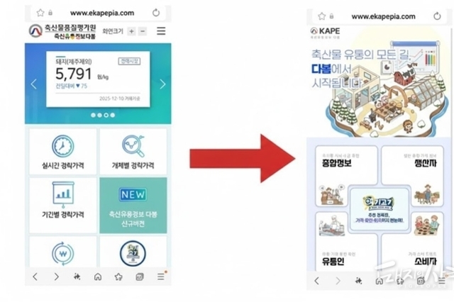 경락가격·재고 흐름 한눈에… 축평원 ‘축산유통정보 다봄’ 개편 시범 공개