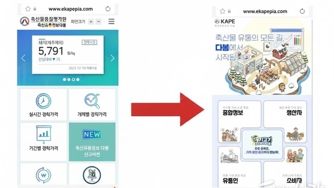 경락가격·재고 흐름 한눈에… 축평원 ‘축산유통정보 다봄’ 개편 시범 공개