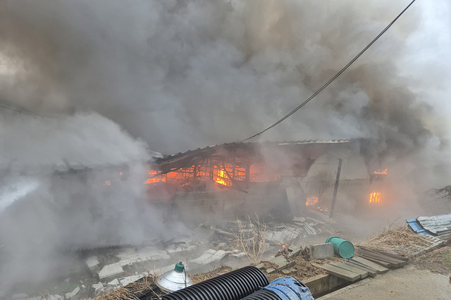 토요일 오후 당진서 돈사 화재.....1억5천만원 피해