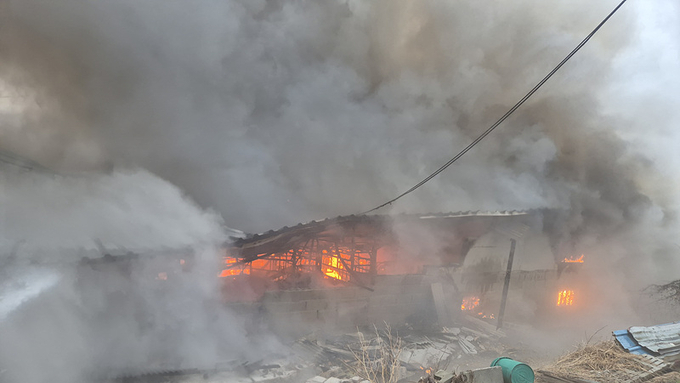 토요일 오후 당진서 돈사 화재.....1억5천만원 피해