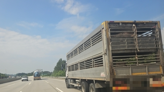 [한 주간의 돈가] 2주 연속 약보합세...목심 소비 부진 심각