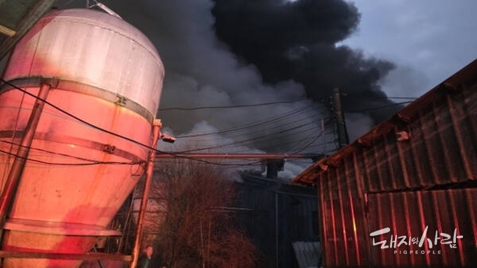 이른 아침 안성 양돈장서 불...돼지 1천8백여 마리 폐사