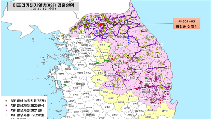[ASF 실시간 현황판] 야생멧돼지 17일 3건(화천) 추가...12월 누적 13건