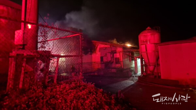 일요일 새벽 임실 양돈장서 불...모자돈 1천3백여 마리 폐사